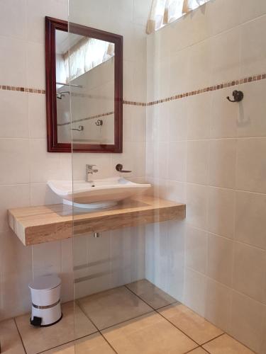 a bathroom with a sink and a mirror at Paisley & Pomegranate in Utrecht