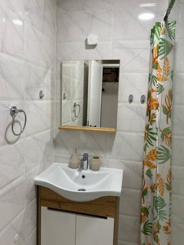 a bathroom with a sink and a mirror at Apartments and Rooms Radivojević Niš in Niš