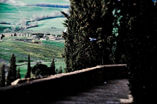 a view of a field with trees and a fence at Agriturismo Il Casalino in Pienza