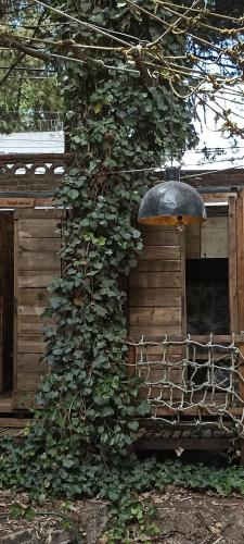 a building with a ivy growing on the side of it at Mindfulness Glamping, Retiro de Yoga, Todo Incluido in Mexico City