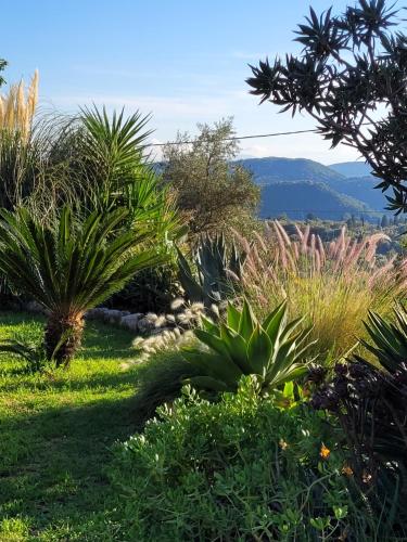 a garden with plants and mountains in the background at Villa Bakola in Sívros
