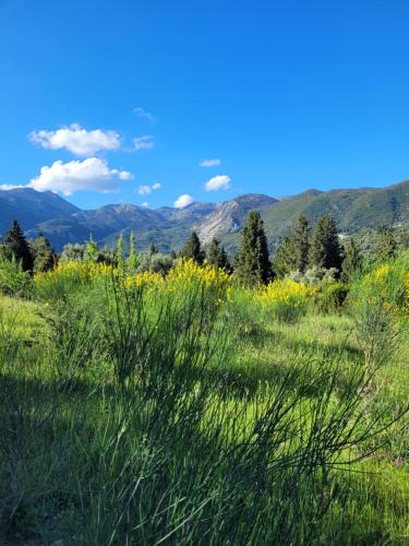 a field of grass with mountains in the background at Villa Bakola in Sívros