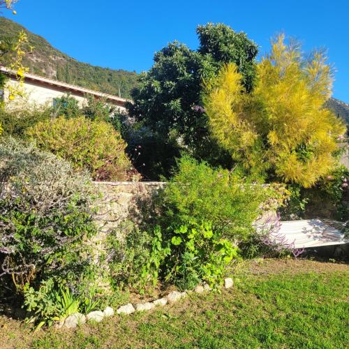 a garden with bushes and trees on a hill at Villa Bakola in Sívros