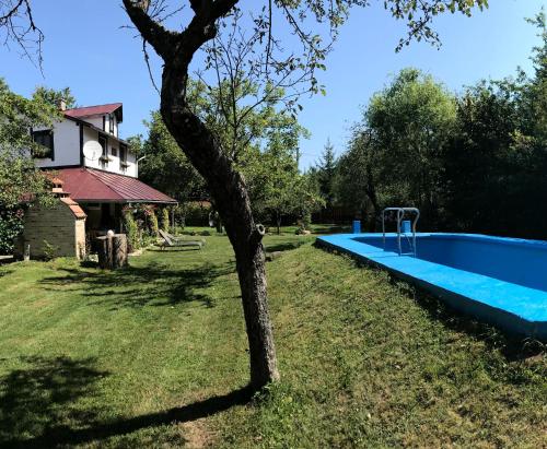 a swimming pool in the yard of a house at Casa BRA Viștișoara in Stațiunea Climaterică Sâmbăta
