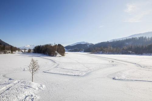 a snow covered field with a tree in the middle at PENTHOUSE N`3 - Stylish Apartment with Rooftop Whirlpool Access in Tyrol, presented by AlpenLuxus in Kramsach