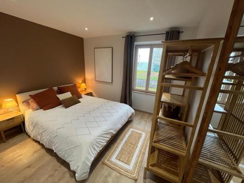 a bedroom with a bed and a book shelf at Appartement Pontarlier-centre in Pontarlier