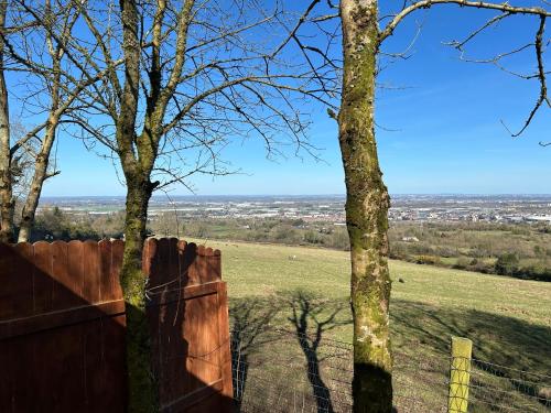 a fence with a view of a field and trees at Sky gazer cabin in the woods in Dublin