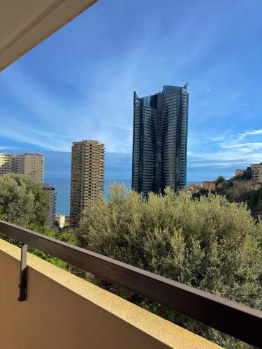 Studio de LUXE Portes de Monaco - Vue MER - Piscine - Wifi photo 71