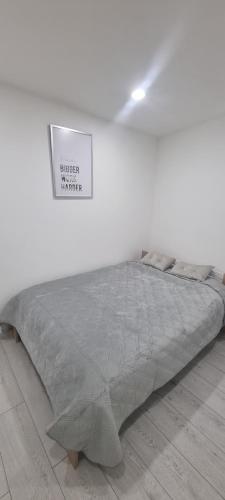 Ce lit se trouve dans une chambre blanche dotée d'un panneau mural. dans l'établissement Bel appartement Belfort centre-Gare, à Belfort