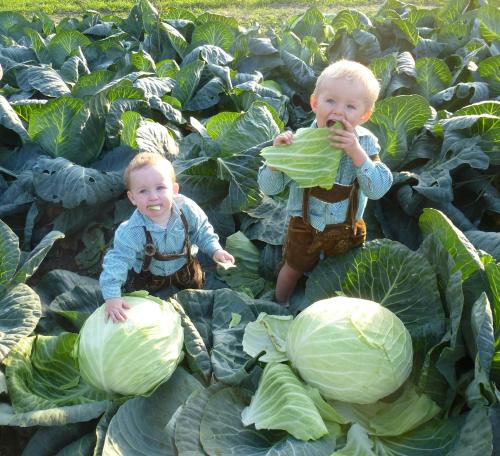 two babies are standing in cabbage plants at Winklerhof Apartments in Brunico