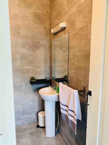 a bathroom with a sink and a mirror at The Cosy Castaway in Wexford
