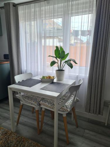 a white table and chairs with a potted plant on it at Garden Self Contained Studio in London in London