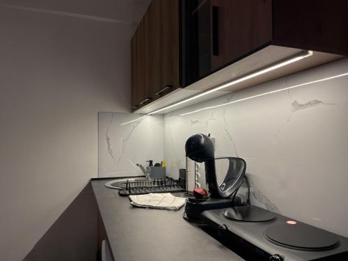 eine Küchentheke mit einer Kaffeemaschine darauf in der Unterkunft Liberte Apartments Voždovac in Belgrad