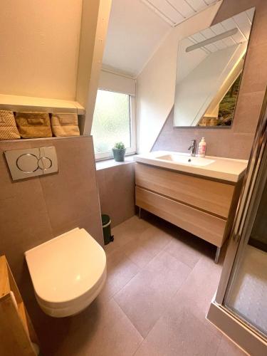 ein Badezimmer mit Toilette und Waschbecken in der Unterkunft Chalet Het Hulstje 1 in Durbuy