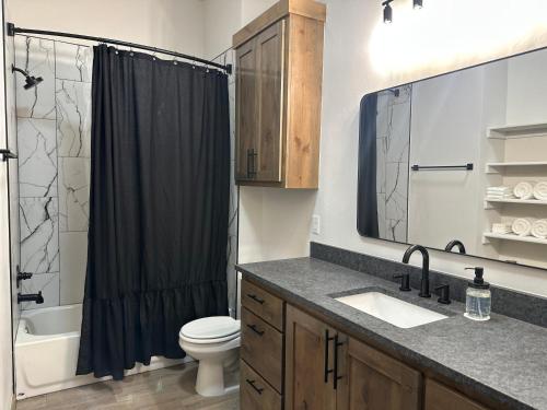 a bathroom with a sink and a toilet and a shower at New Bison Cabin Hot Tub Air Hockey Pool Table in Purcell