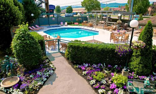 an overhead view of a swimming pool with flowers at Arbors at Island Landing Hotel & Suites in Pigeon Forge