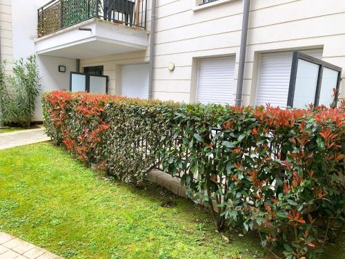 une haie devant une maison dans l'établissement Le Capitole, à Puteaux