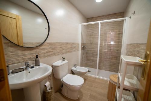 a bathroom with a toilet and a sink and a mirror at Apartamento Monte Mar 1 in Haza del Trigo
