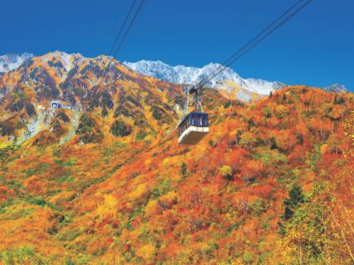 a gondola flying over a mountain with autumn leaves at Tsurugi Koizuki in Kamiichi