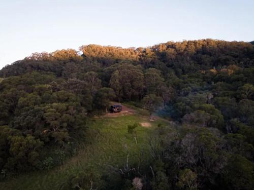 an aerial view of a cabin in the middle of a forest at Off-Grid Cabin Surrounded by Nature - Hot Tub - Banjo in Jamberoo
