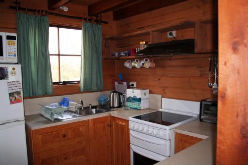 a kitchen with a sink and a stove and a refrigerator at Wombat Cabin in Moina