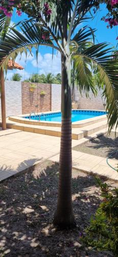 a palm tree in front of a swimming pool at Lucena House in Lucena