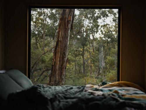 Katil atau katil-katil dalam bilik di Off-Grid Cabin Tucked into Nature Creek Access - Yenya