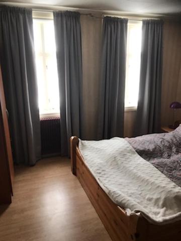 a bedroom with a bed and two windows at Villa Nordlys in Andenes