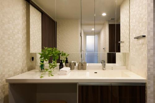 a bathroom with a sink and a mirror at Minn Kitahiroshima Station East in Nakanosawa