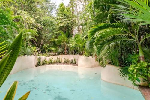 Κήπος έξω από το Estudio en Av. Cobá para 4 personas