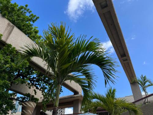 a palm tree in front of a building at First Cabin International Hawaii in Honolulu