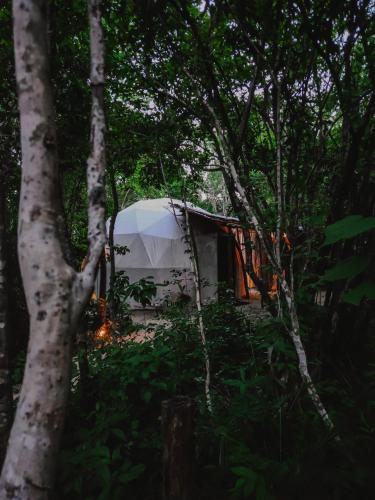 a white tent in the middle of a forest at Ku kuk Glamping in Chemuyil