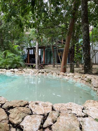 a large pool of water in a yard with trees at Villa Yaakun in Tulum