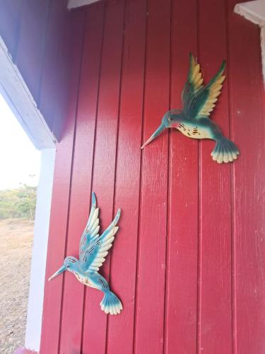 two birds flying next to a red wall at WEst Cottage in Osbourn