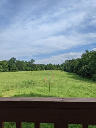 a field of green grass with a fence and trees at The Inn at Beulah Farm - The Pen in Whitley City