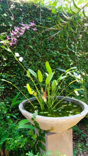 Jardín al aire libre en Ridmi Home Stay