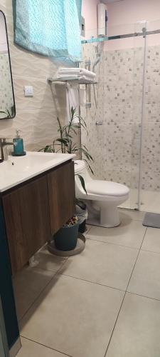 a bathroom with a sink and a toilet at La casa de Bába in San Salvador