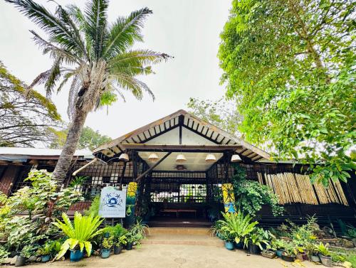 a pavilion with a palm tree in front of a building at Lokal Hut Bed and Breakfast in Puerto Princesa City