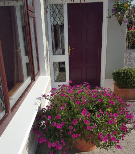 a door with pink flowers in front of a house at Ely House B&B in Shannonbridge