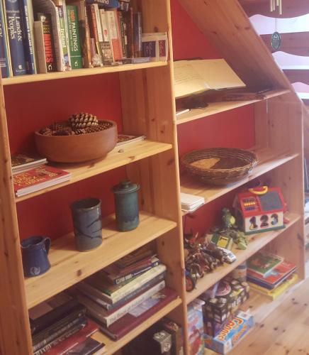 a book shelf filled with lots of books at Ely House B&B in Shannonbridge
