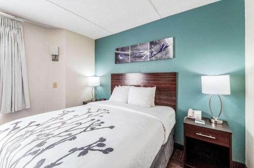 a hotel room with a large bed and a blue wall at Sleep Inn & Suites Rehoboth Beach in Rehoboth Beach