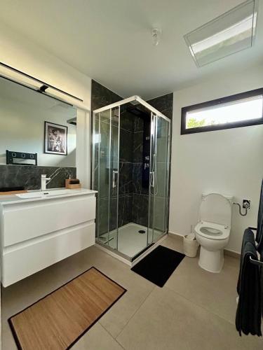 une salle de bain avec une douche en verre et des toilettes dans l'établissement Love room proche du bassin , jacuzzi, jardin privé, à Marcheprime