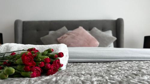 Apartaments Centrum Katowice