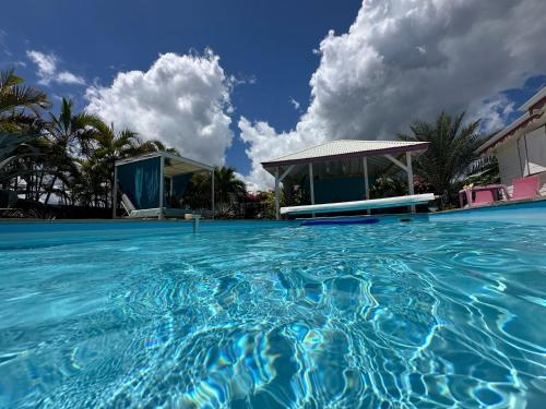a large swimming pool in front of a house at Au Bel'vue chez Sandrine "Gite & Chambre d'hôtes" in Le Moule