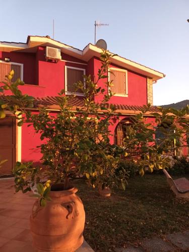 a plant in a pot in front of a red house at casa cappellino in Vicovaro