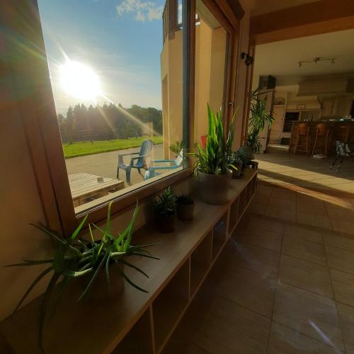 a balcony with potted plants and a glass window at Magnifique villa avec piscine intérieure in Saint-Pois