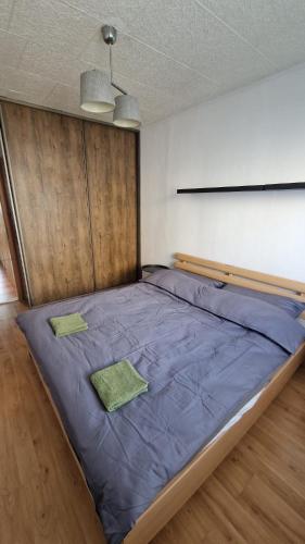 a bed with two green pillows on it in a room at BardiHome in Bardejov