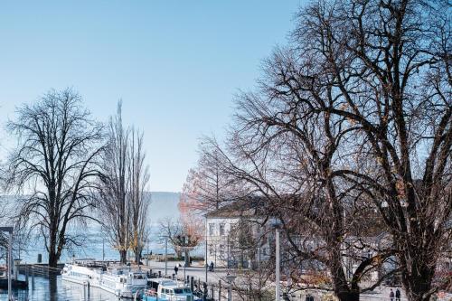 a group of boats are docked at a marina at Ferienwohnungen am Mantelhafen Typ 1 in Überlingen