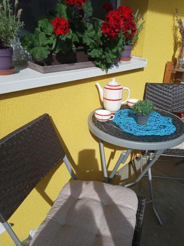 Malý byt v centru ZR