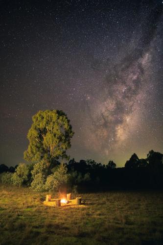 a campfire under a tree in a field at night at Remote Off-Grid Cabin in the Wilderness - Jude in Warrenmang